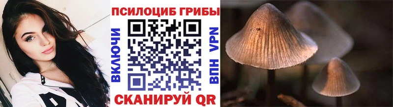 Галлюциногенные грибы прущие грибы  Ахтырский 